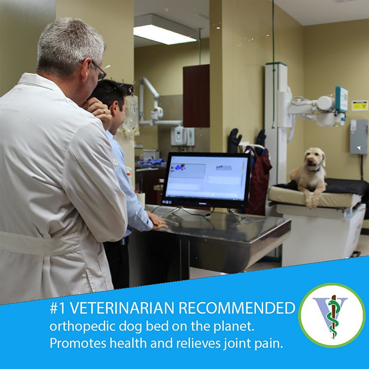 Vet recommended orthopedic dog bed