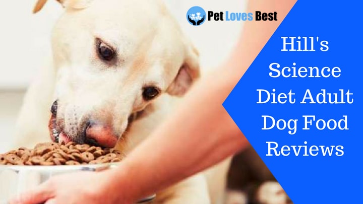 science diet for dogs