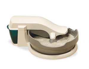 Best Cat Litter For Odor