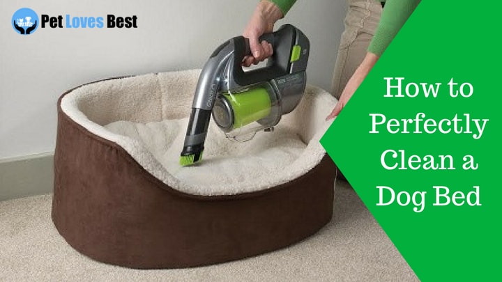 How to Perfectly Clean a Dog Bed The Washing Guide Pet