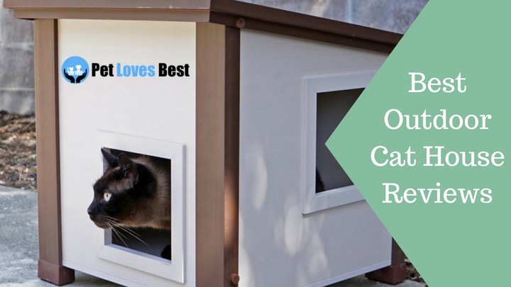 Featured Image Best Outdoor Cat House Reviews