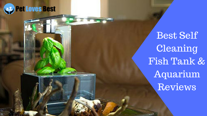 Featured Image Best Self Cleaning Fish Tank & Aquarium Reviews