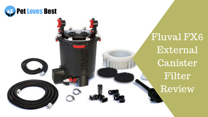 Featured Image Fluval FX6 External Canister Filter Review