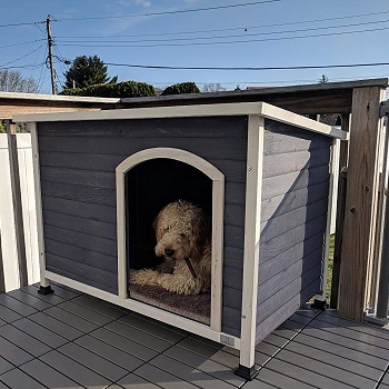 A4 Pet Metal Frame Outdoor Dog House