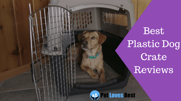 best plastic dog kennel