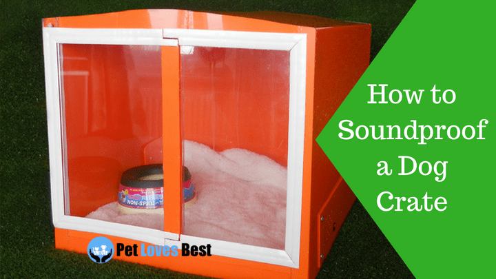 Soundproof Dog Crate | How to 