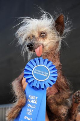 record holder ugly dog