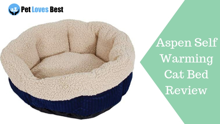 Featured Image Aspen Self Warming Cat Bed Review