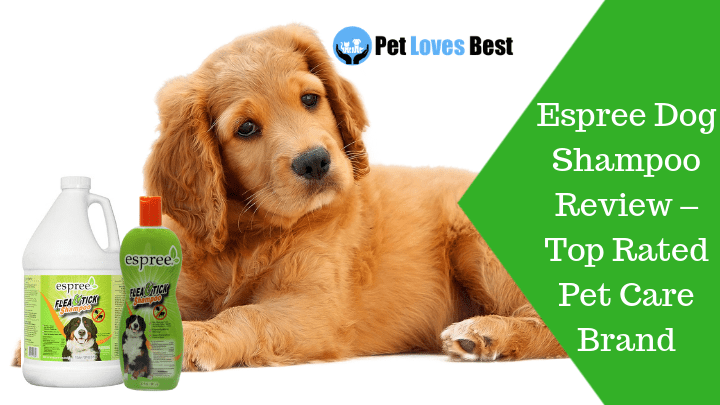 Featured Image Espree Dog Shampoo Review – Top Rated Pet Care Brand
