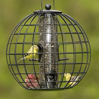 Gardener’s Supply Company Globe Cage Mixed Seed Squirrel Proof Bird Feeder
