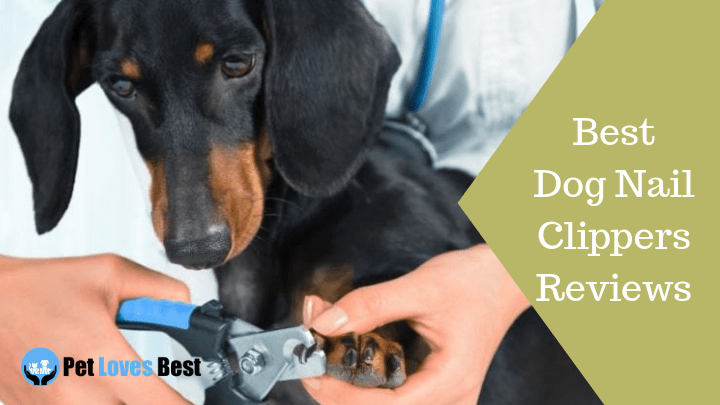 gopets nail clippers for dogs
