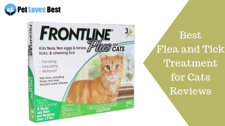Featured Image Best Flea and Tick Treatment for Cats Reviews
