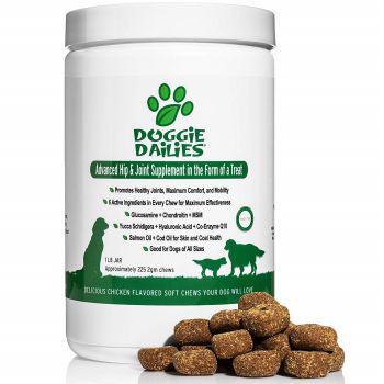 Glucosamine for Dogs