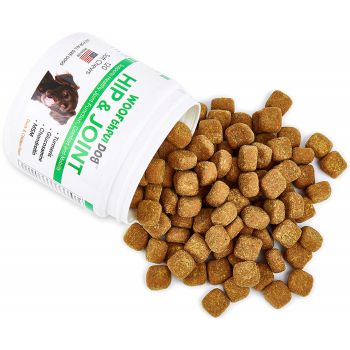 glucosamine chondroitin msm for dogs