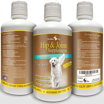 Glucosamine Chondroitin for Dogs