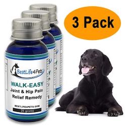 Best Joint Supplements for Dogs