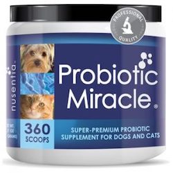 Best Probiotics for Dogs