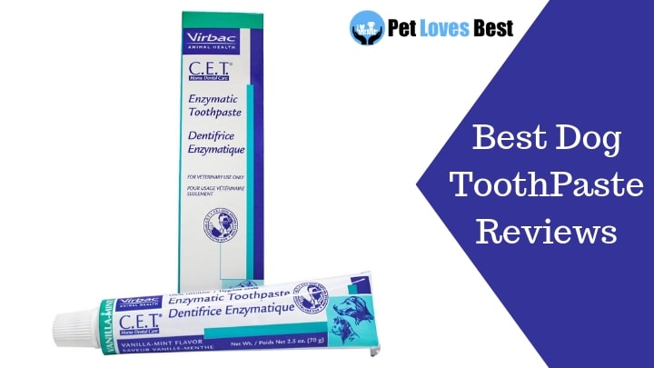 dog toothpaste ratings