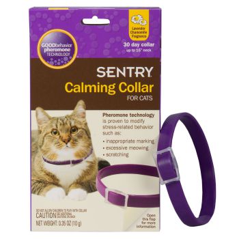 Sentry Calming Collar Review for Cats 