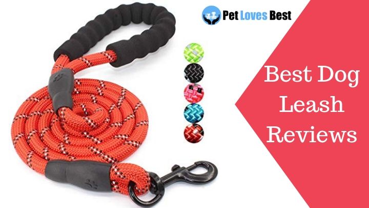 Featured Image Best Dog Leash Reviews