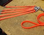 Leash For Multiple Dogs