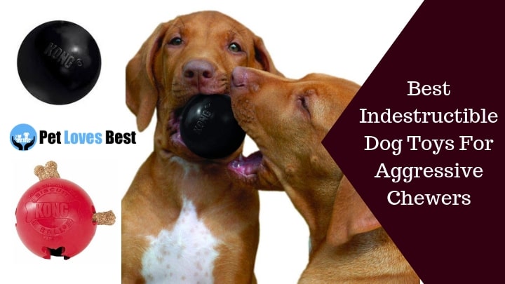 dog ball for heavy chewers