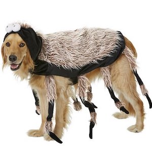 Frisco Tarantula Spider Dog Costume