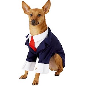 Rubie’s Business Suit for Dogs