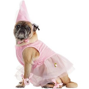 Rubie’s Princess Dog Costume