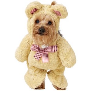 Rubie’s Walking Teddy Bear Dog Outfit