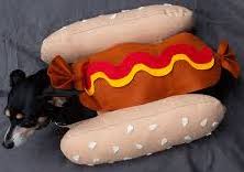 DIY Hot Dog Halloween costume for dogs