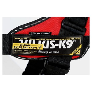 Julius-K9 IDC Harness