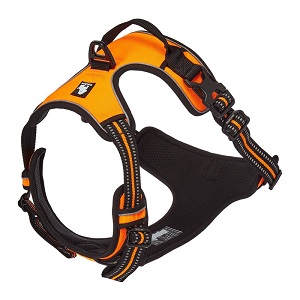 Outdoor Adventure Harness from Chai’s Choice