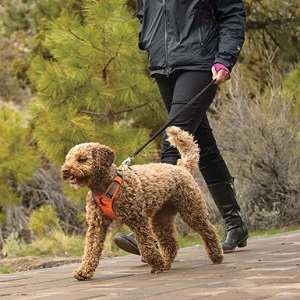 Ruff Wear Front Range Dog Harness